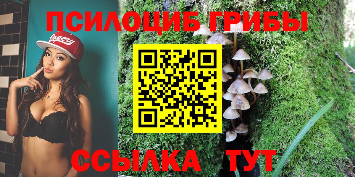 Псилоцибиновые грибы Magic Shrooms  Псилоцибиновые грибы прущие грибы  Анапа  Вход с VPN 